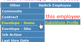 Image of dropdown on Employee Demographics to access envelope option