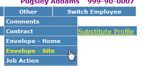 Image of dropdown on Employee Demographics to access envelope option